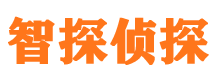 嘉峪关市私家侦探